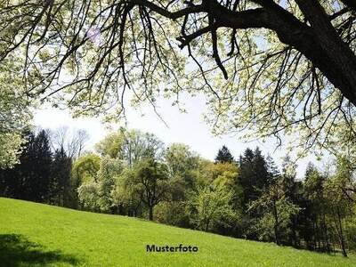 Gewerbeobjekt kaufen in 3430 Staasdorf