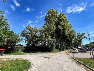 Wohnung kaufen in 4053 Nettingsdorf