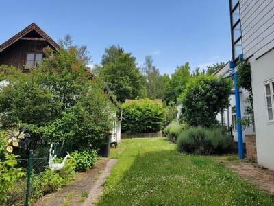 Haus kaufen in 2123 Traunfeld (Bild 4)