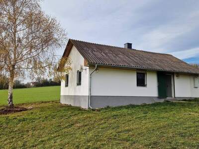 Haus kaufen in 7464 Markt Neuhodis