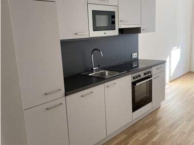 Terrassenwohnung mieten in 1220 Wien (Bild 2)