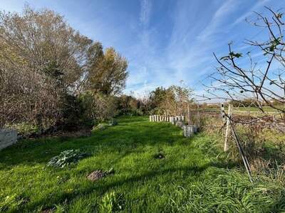 Grundstück kaufen in 7100 Neusiedl
