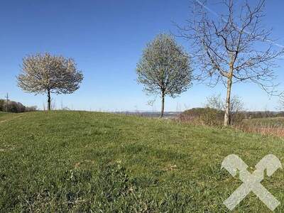 Grundstück kaufen in 8380 Mitterhenndorf