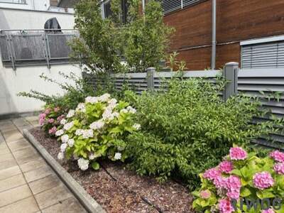 Terrassenwohnung mieten in 3400 Klosterneuburg (Bild 2)