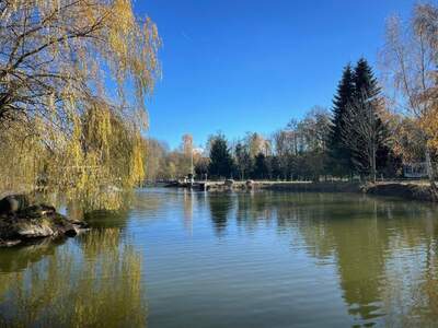 Gewerbeobjekt kaufen in 3903 Echsenbach
