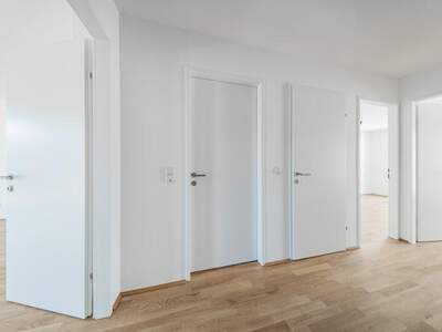 Terrassenwohnung kaufen in 1210 Wien (Bild 3)