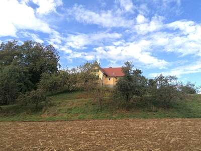 Haus mieten in 8455 Oberhaag (Bild 5)
