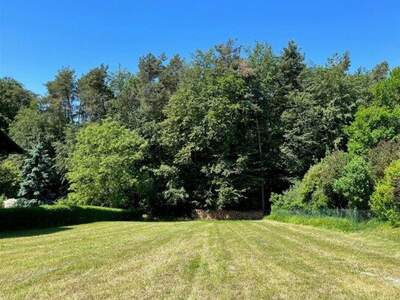 Grundstück kaufen in 8076 Vasoldsberg (Bild 3)