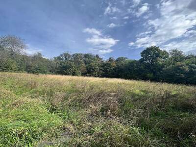 Grundstück kaufen in 8410 Allerheiligen (Bild 5)