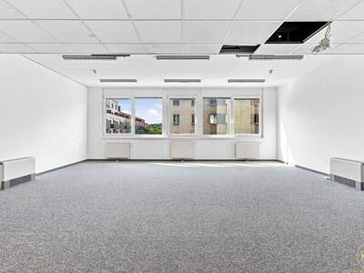 Gewerbeobjekt mieten in 1110 Wien (Bild 2)