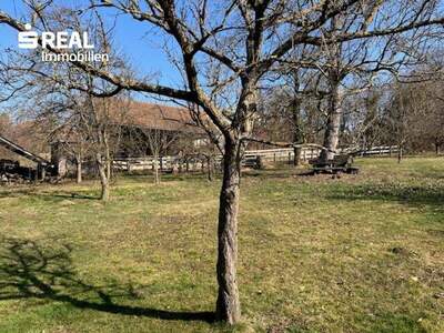 Haus kaufen in 7431 Bad Tatzmannsdorf (Bild 2)