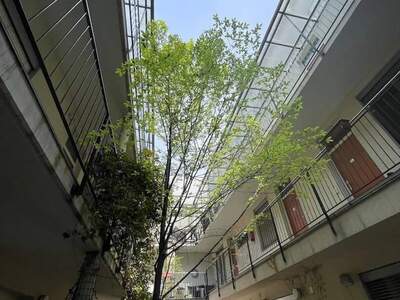 Mietwohnung provisionsfrei in 8020 Graz