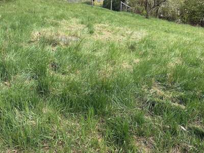 Plot / Land provisionsfrei kaufen in 8301 Lassnitzhöhe