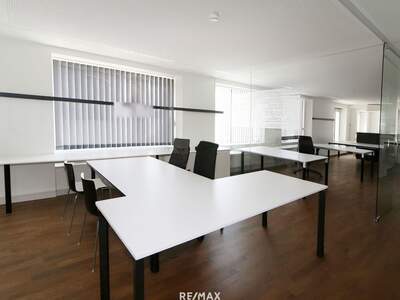 Gewerbeobjekt mieten in 4600 Thalheim (Bild 4)