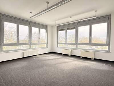 Gewerbeobjekt mieten in 2320 Schwechat
