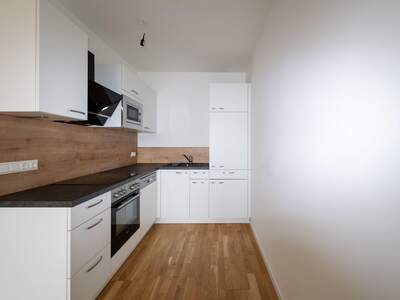 Wohnung mit Balkon mieten in 2552 Hirtenberg (Bild 4)