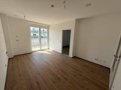 Terrassenwohnung kaufen in 2442 Unterwaltersdorf (Bild 4)