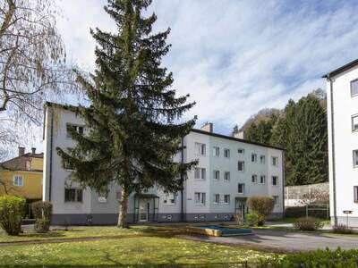 Wohnung mieten in 3150 Wilhelmsburg