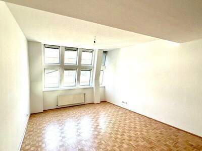 Terrassenwohnung mieten in 1100 Wien (Bild 2)