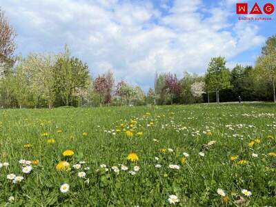 Wohnung kaufen in 4020 Linz