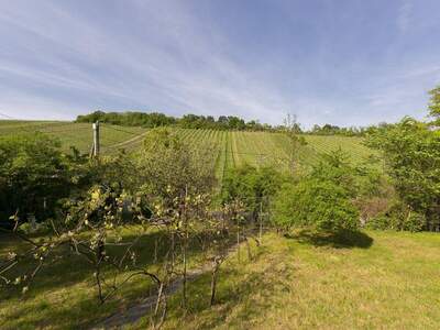 Grundstück kaufen in 1190 Wien