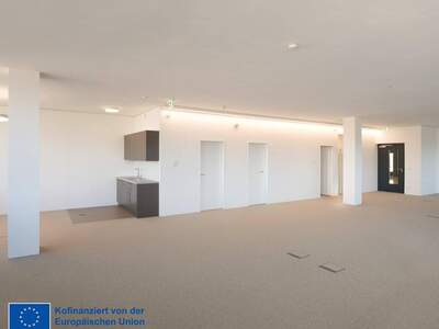 Gewerbeobjekt mieten in 1220 Wien