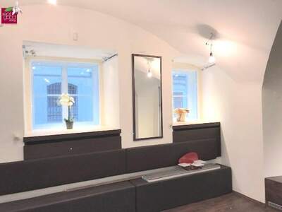 Gewerbeobjekt mieten in 1010 Wien