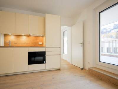 Terrassenwohnung mieten in 1170 Wien (Bild 1)