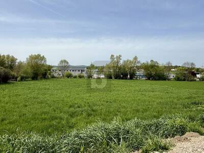 Grundstück kaufen in 7032 Sigleß (Bild 1)