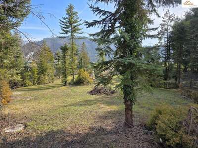 Grundstück kaufen in 2823 Pitten