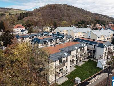 Wohnung kaufen in 2103 Langenzersdorf