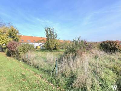 Grundstück kaufen in 2013 Göllersdorf