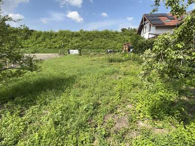 Grundstück kaufen in 2111 Obergänserndorf (Bild 3)