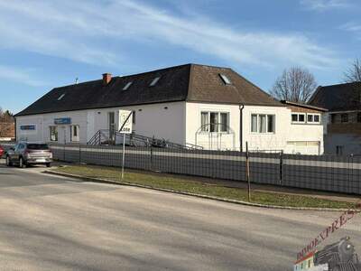 Haus mit Garten mieten in 7021 Gemeinde Draßburg (Bild 1)