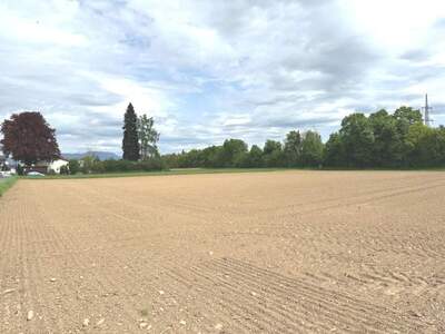 Grundstück kaufen in 8054 Seiersberg