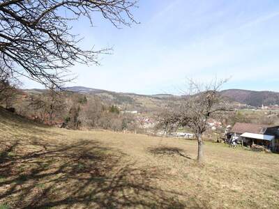 Grundstück kaufen in 8591 Maria Lankowitz (Bild 4)