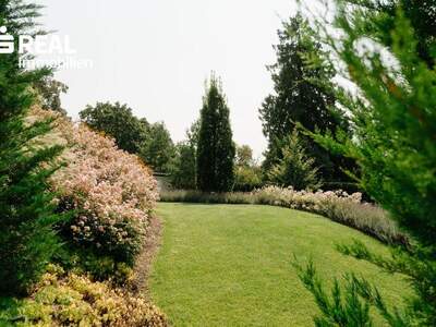 Chalet kaufen in 2500 Baden (Bild 5)