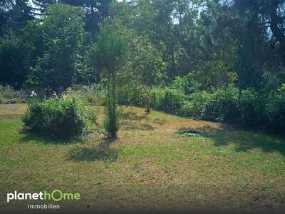 Grundstück kaufen in 2410 Hainburg (Bild 1)