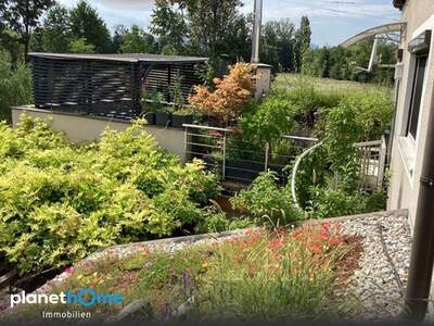 Einfamilienhaus kaufen in 2751 Steinabrückl (Bild 2)