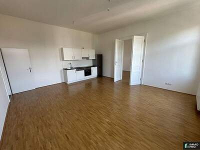 Apartment provisionsfrei mieten in 9020 Kärnten