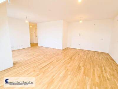 Terrassenwohnung kaufen in 1220 Wien (Bild 3)