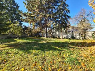 Haus kaufen in 1220 Wien (Bild 5)