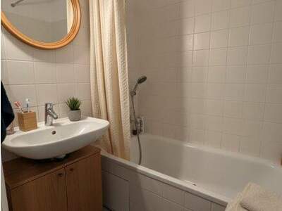 Terrassenwohnung mieten in 4600 Wels (Bild 4)