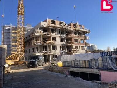 Mietwohnung in 4210 Gallneukirchen (Bild 4)