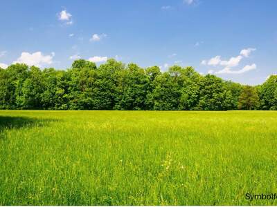 Gewerbeobjekt kaufen in 8750 Judenburg