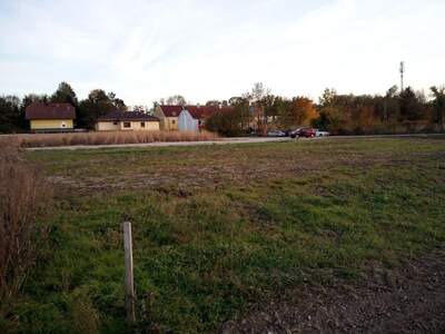 Grundstück kaufen in 2486 Siegersdorf (Bild 5)