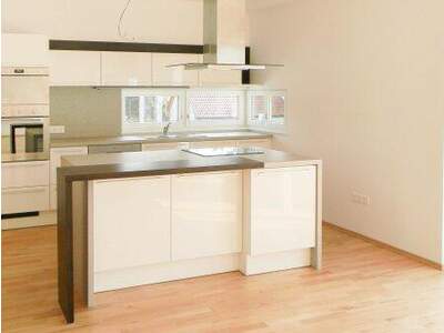 Terrassenwohnung mieten in 1220 Wien (Bild 2)