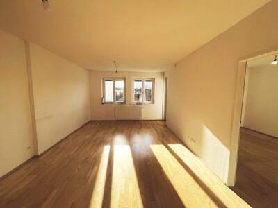 Terrassenwohnung mieten in 3140 Pottenbrunn (Bild 3)