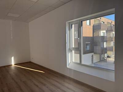 Büro / Praxis mieten in 8962 Gröbming (Bild 5)