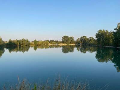 Grundstück kaufen in 2483 Ebreichsdorf (Bild 3)